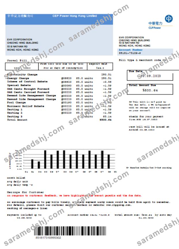 CLP Power Hong Kong Limited utility business bill, SCR